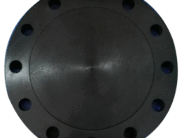 Blind Flange - Image 2
